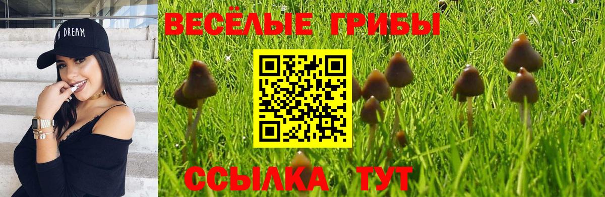 Псилоцибиновые грибы прущие грибы  Вход с VPN  Учалы  Галлюциногенные грибы Psilocybe 